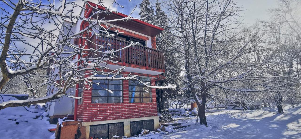 Chata Gabika Košice Exterior foto